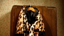 بره ناقلا (چیتای قلابی)